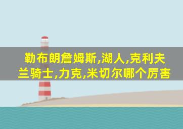 勒布朗詹姆斯,湖人,克利夫兰骑士,力克,米切尔哪个厉害