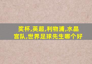 奖杯,英超,利物浦,水晶宫队,世界足球先生哪个好