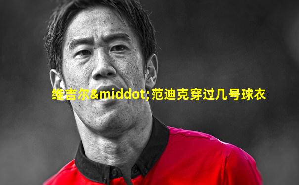 维吉尔·范迪克穿过几号球衣