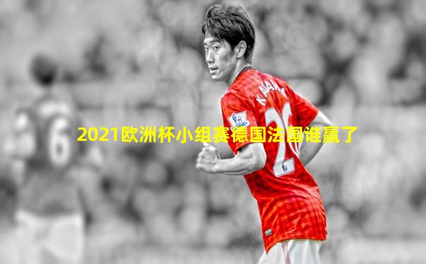 2021欧洲杯小组赛德国法国谁赢了