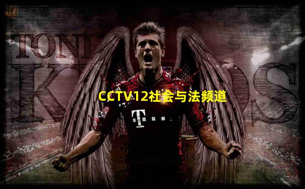 CCTV12社会与法频道