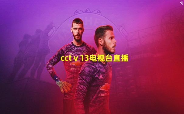 cctⅴ13电视台直播