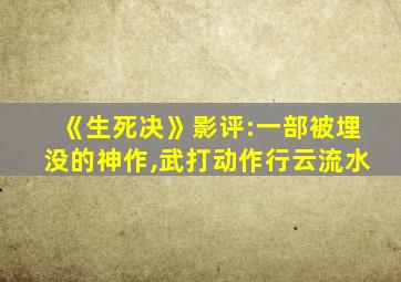 《生死决》影评:一部被埋没的神作,武打动作行云流水