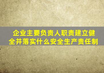 企业主要负责人职责建立健全并落实什么安全生产责任制
