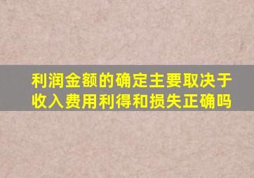 利润金额的确定主要取决于收入费用利得和损失正确吗