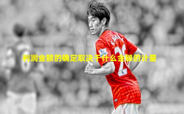 利润金额的确定取决于什么金额的计量