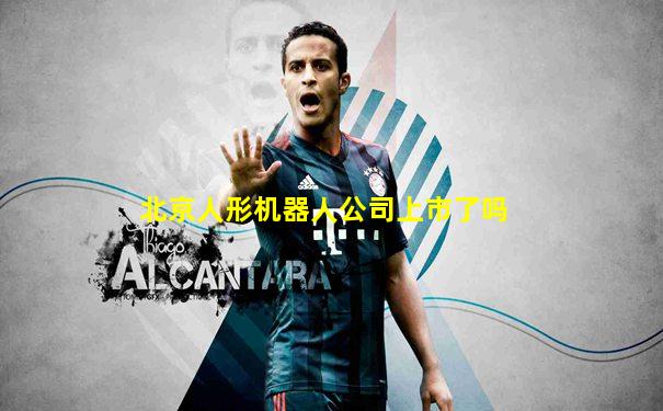 北京人形机器人公司上市了吗