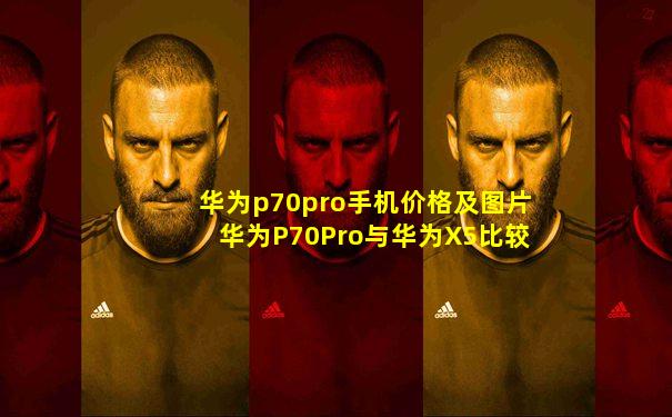 华为p70pro手机价格及图片华为P70Pro与华为X5比较