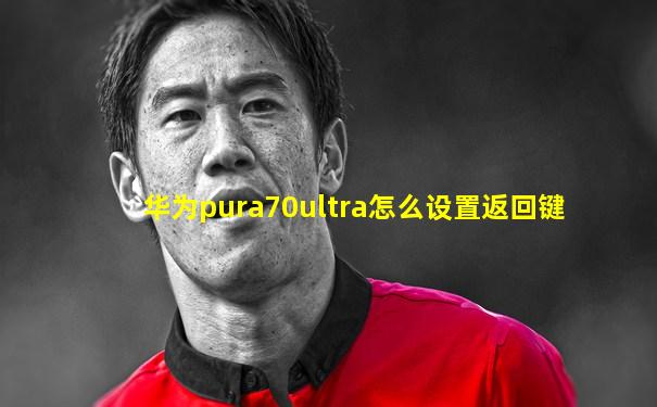华为pura70ultra怎么设置返回键
