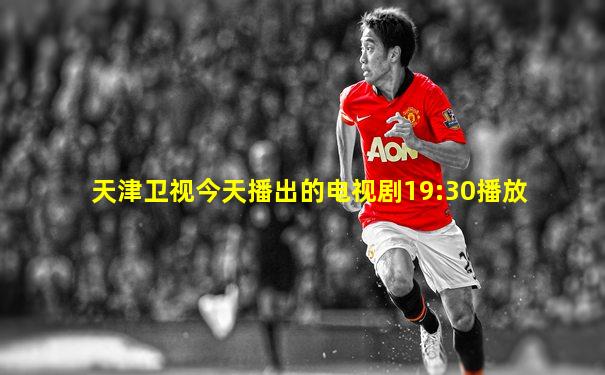 天津卫视今天播出的电视剧19:30播放