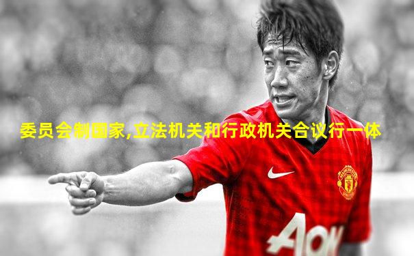 委员会制国家,立法机关和行政机关合议行一体