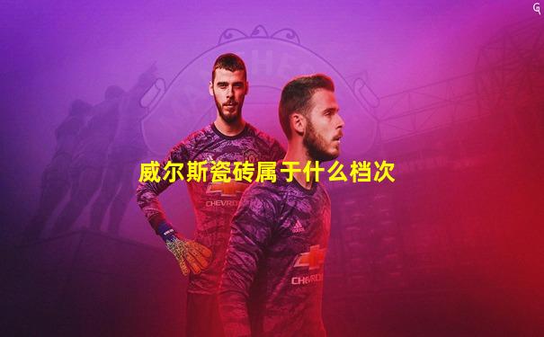 威尔斯瓷砖属于什么档次