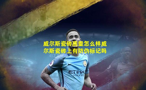 威尔斯瓷砖质量怎么样威尔斯瓷砖上有防伪标记吗