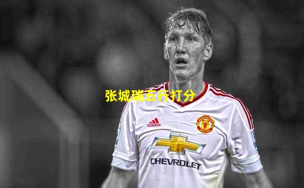 张城瑞五行打分