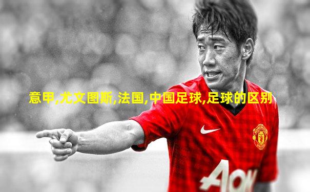 意甲,尤文图斯,法国,中国足球,足球的区别