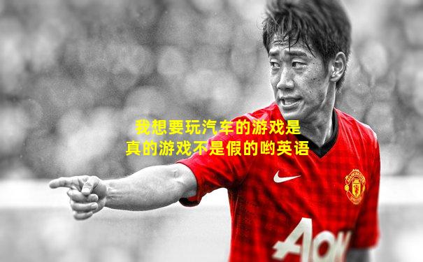 我想要玩汽车的游戏是真的游戏不是假的哟英语