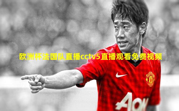 欧洲杯法国队直播cctv5直播观看免费视频