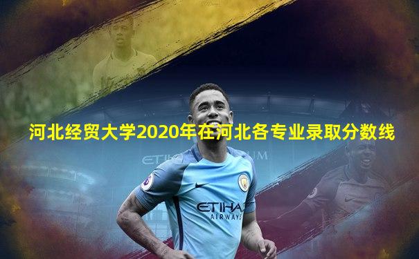 河北经贸大学2020年在河北各专业录取分数线