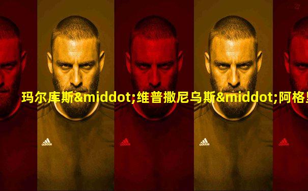 玛尔库斯·维普撒尼乌斯·阿格里帕