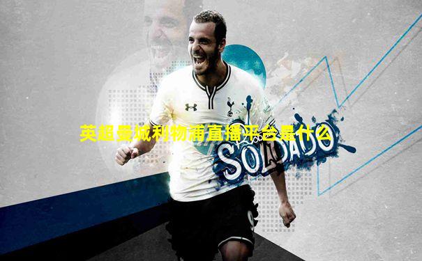 英超曼城利物浦直播平台是什么