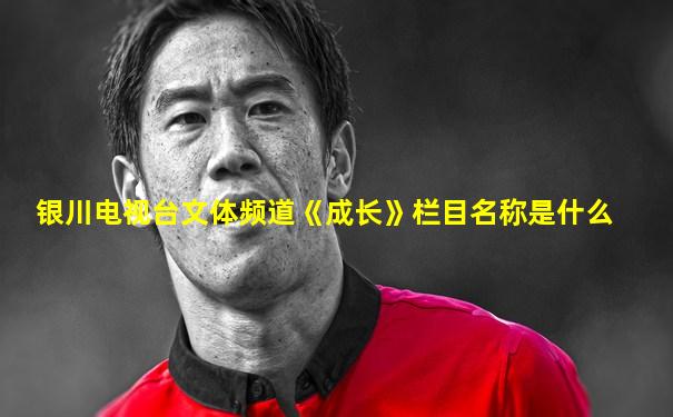 银川电视台文体频道《成长》栏目名称是什么