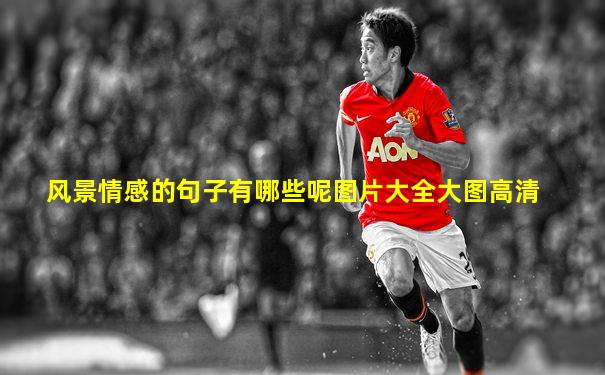 风景情感的句子有哪些呢图片大全大图高清
