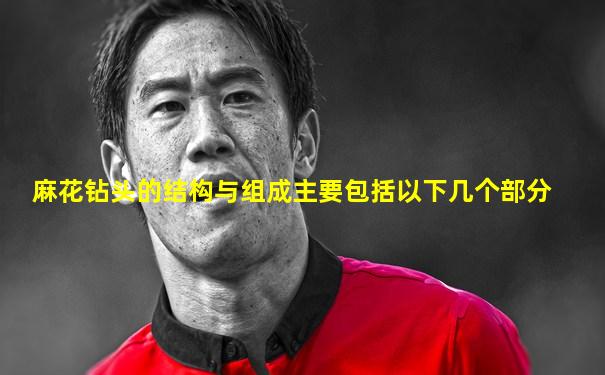 麻花钻头的结构与组成主要包括以下几个部分